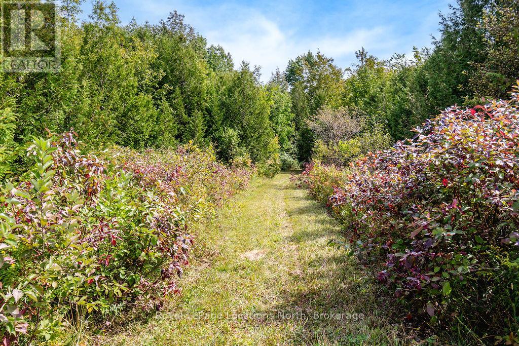 429540 8th B Concession, Grey Highlands, Ontario  N0C 1M0 - Photo 46 - X12709908