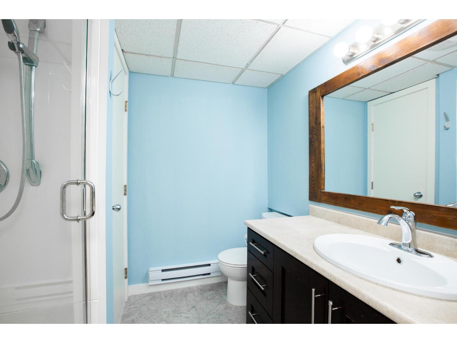 20338 90 Avenue, Langley, British Columbia  V1M 1Y6 - Photo 31 - R3112081