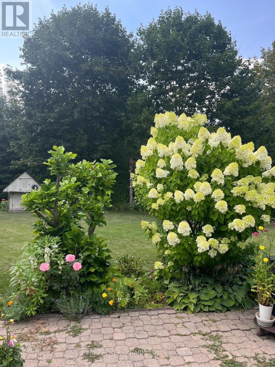 40 Seaton Drive, Aurora (Aurora Highlands), Ontario  L4G 2K1 - Photo 49 - N13010066