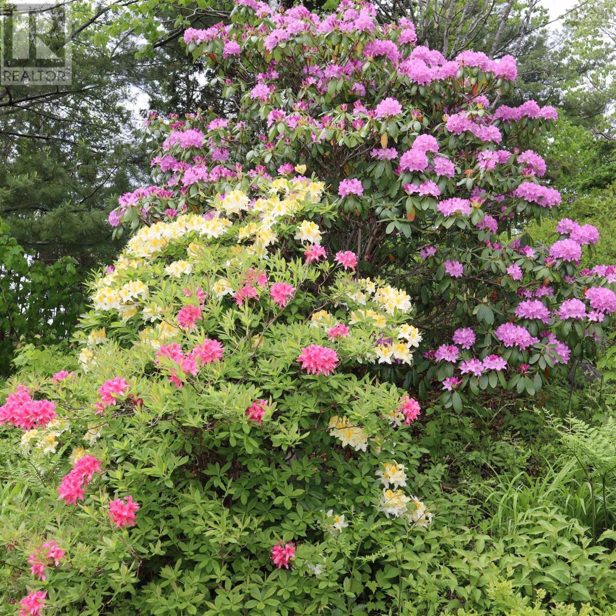 723 Waverley Road, Dartmouth, Nova Scotia  B2X 2G6 - Photo 10 - 202607618