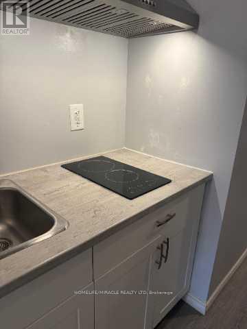 Basement - 22 Pondcliffe Drive, Kitchener, Ontario  N2R 0M1 - Photo 3 - X13010126