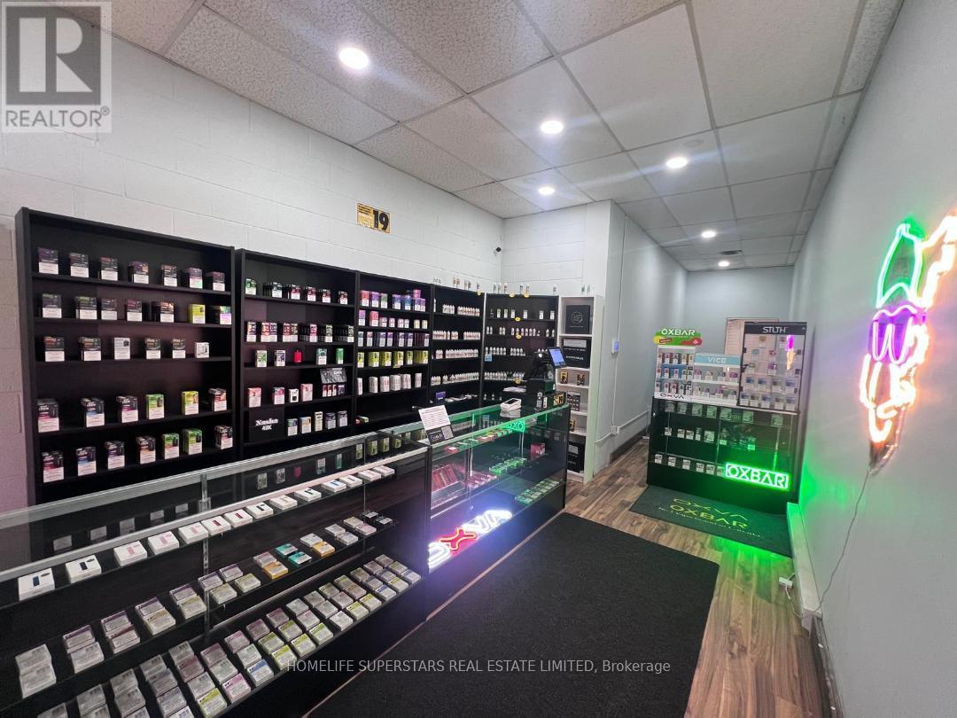 486 Grantham Ave Avenue E, St. Catharines, Ontario  L2M 6W2 - Photo 7 - X12702210