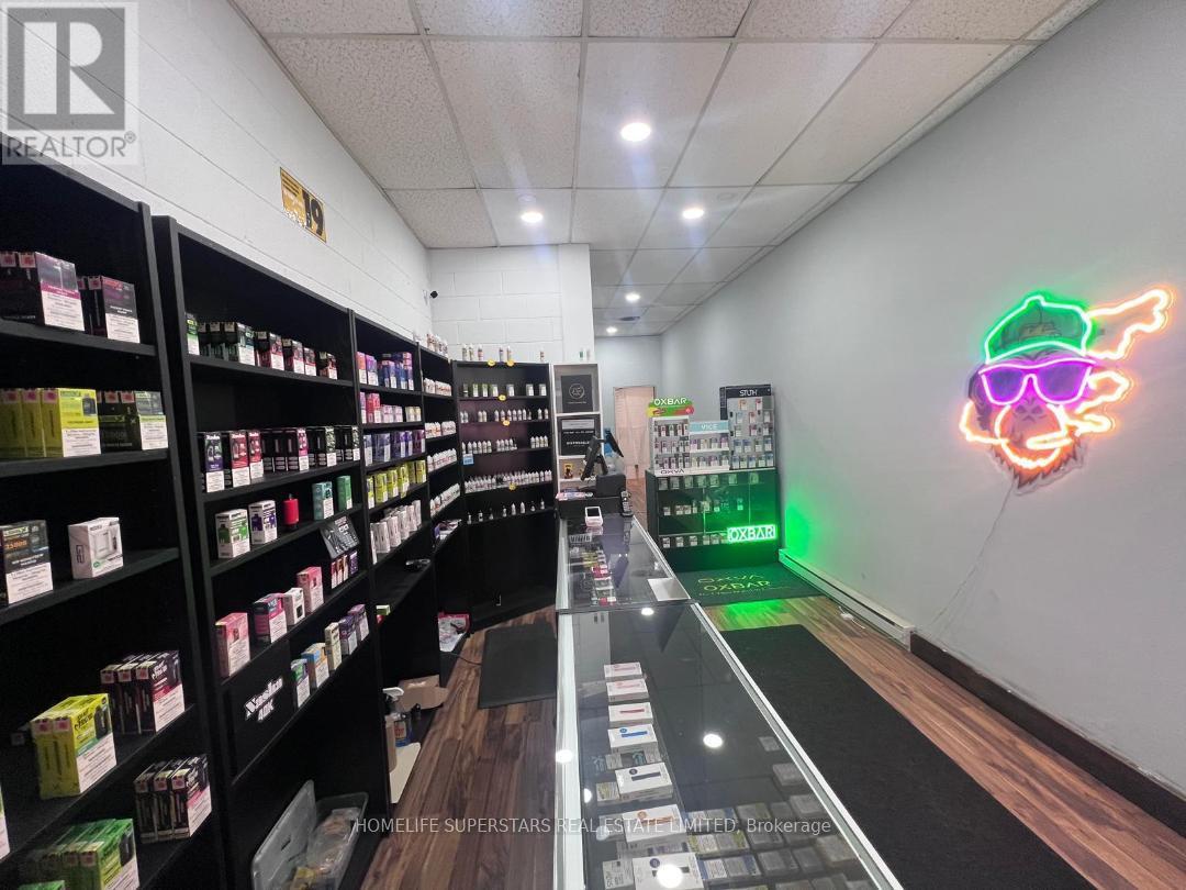 486 Grantham Ave Avenue E, St. Catharines, Ontario  L2M 6W2 - Photo 6 - X12702210