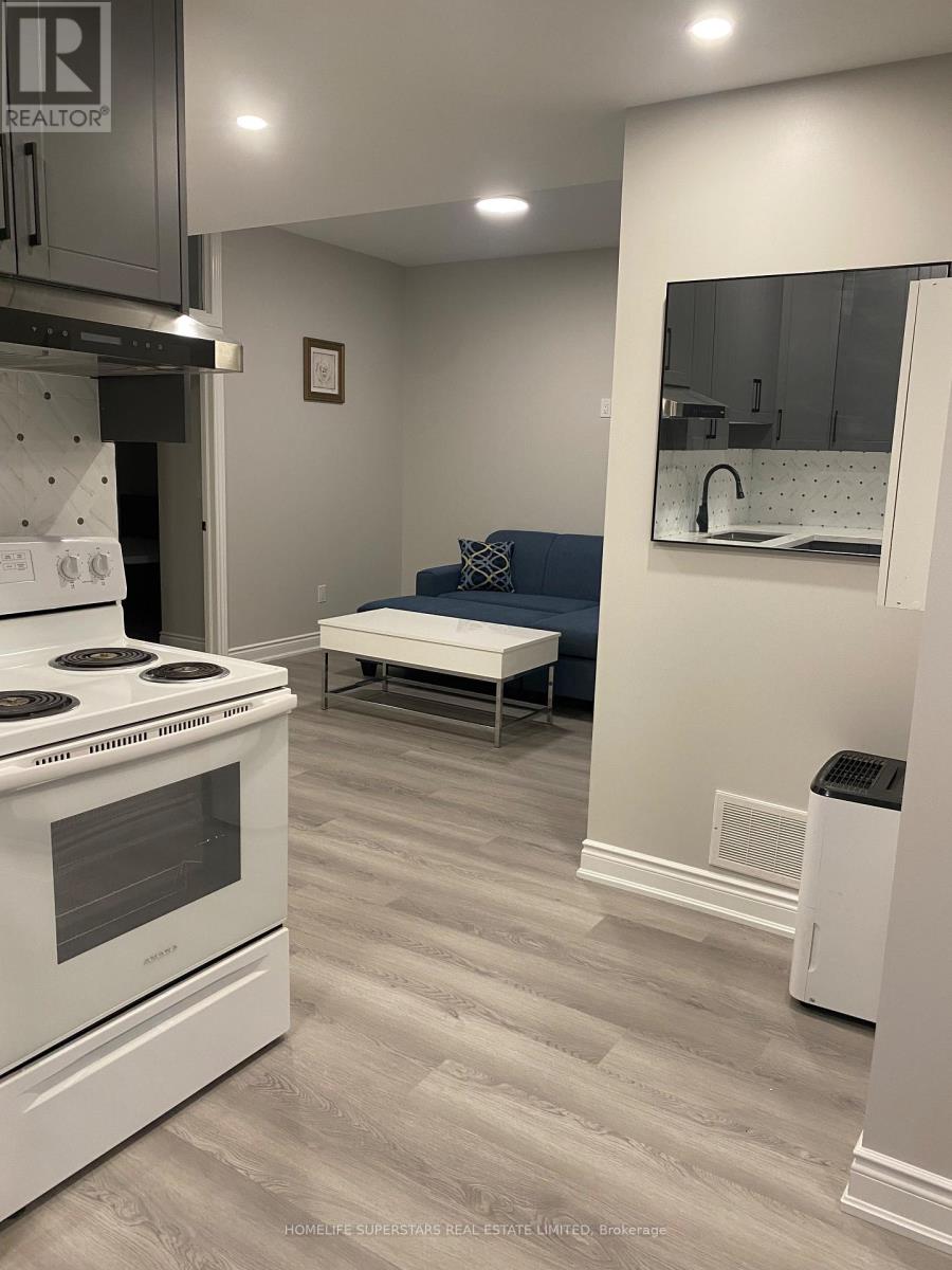 306 Jarvis Street E, Fort Erie, Ontario  L2A 2S8 - Photo 13 - X13009822