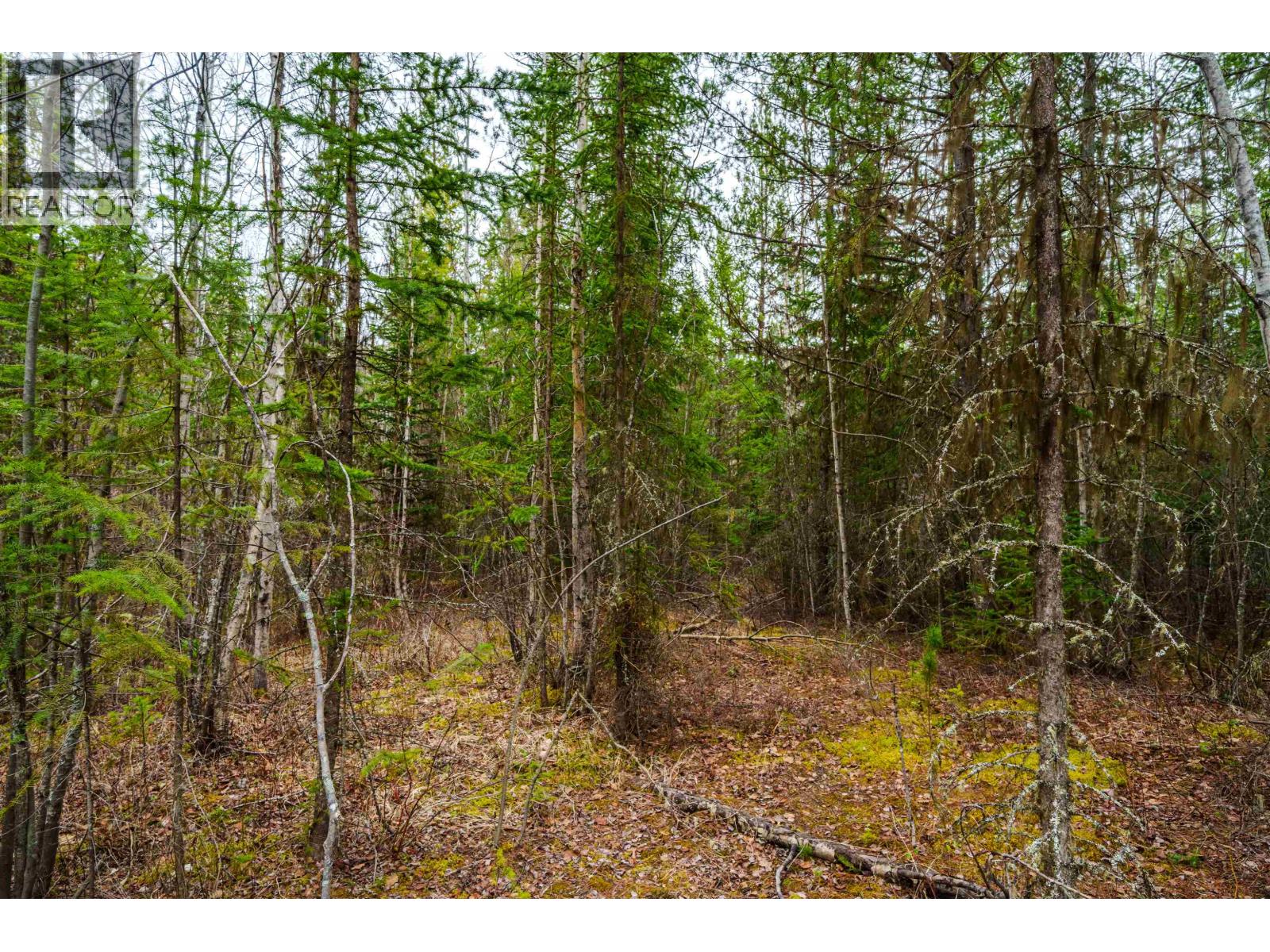 Lot 2 Parkview Road, Quesnel, British Columbia  V2J 6X7 - Photo 31 - R3109538