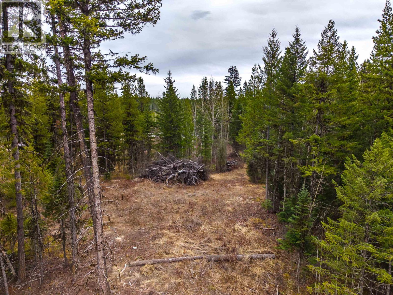 Lot 2 Parkview Road, Quesnel, British Columbia  V2J 6X7 - Photo 17 - R3109538
