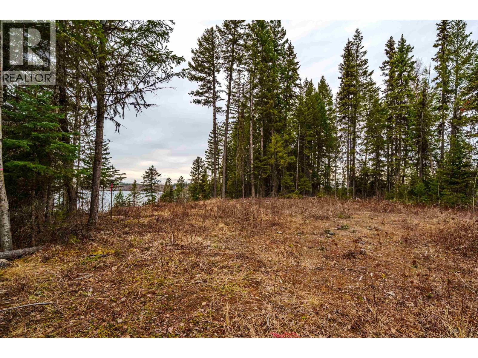 Lot 2 Parkview Road, Quesnel, British Columbia  V2J 6X7 - Photo 25 - R3109538
