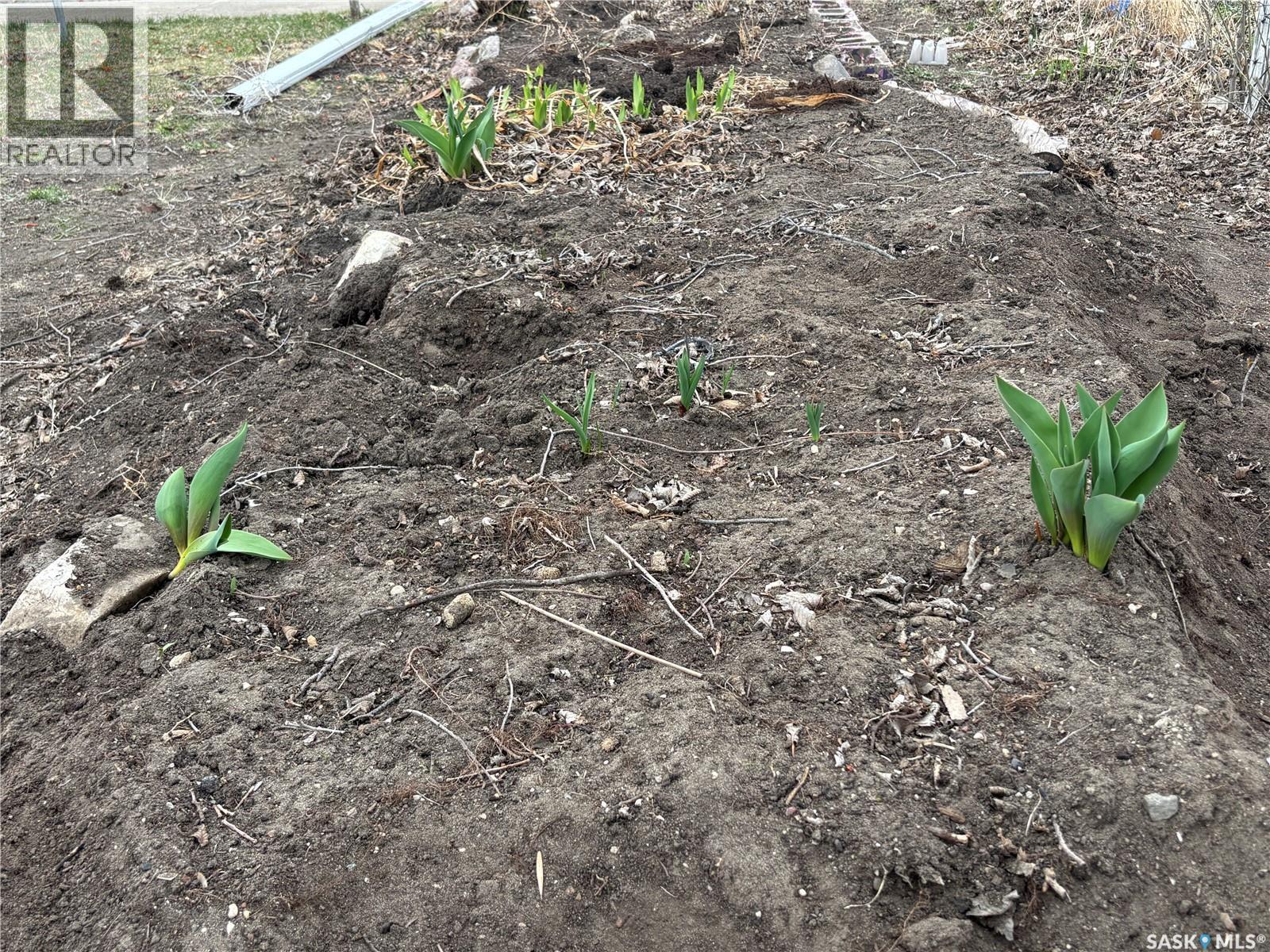 413 Maple Street, Maple Creek, Saskatchewan  S0N 1N0 - Photo 8 - SK033144