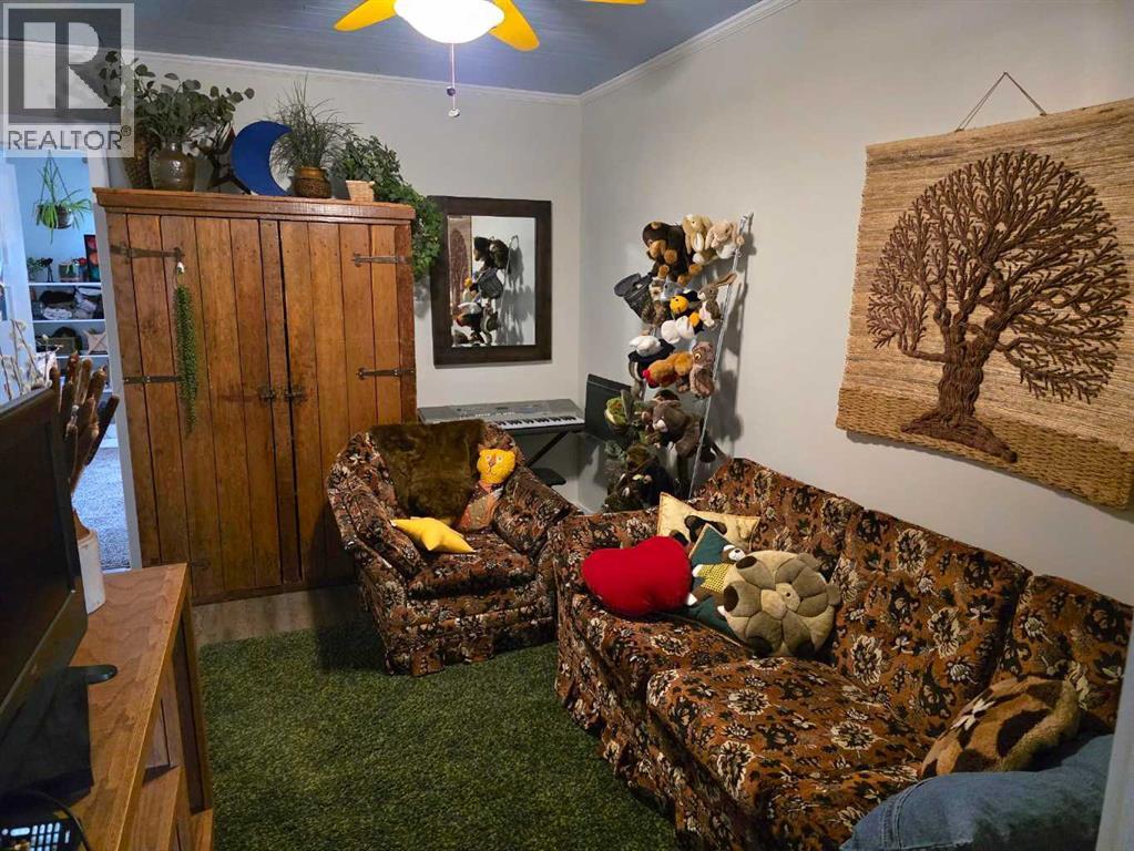 221 Heritage Road, Barnwell, Alberta  T0K 0B0 - Photo 23 - A2302776