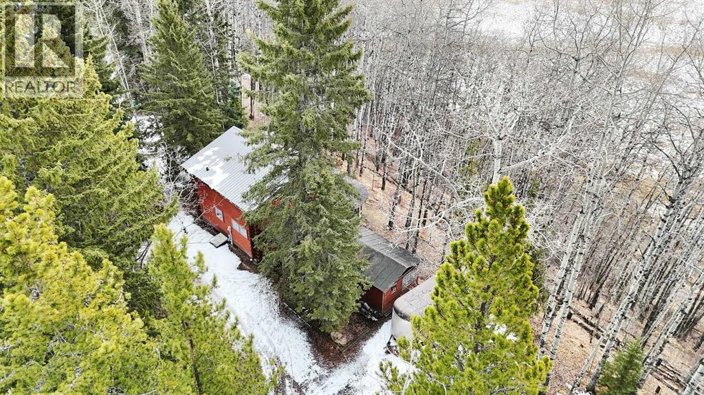 30 Mountainview Road, Rural Clearwater County, Alberta  T4T 2A4 - Photo 29 - A2302170