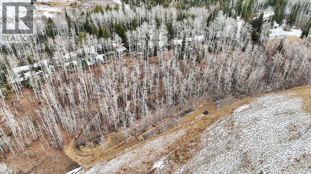 30 Mountainview Road, Rural Clearwater County, Alberta  T4T 2A4 - Photo 32 - A2302170