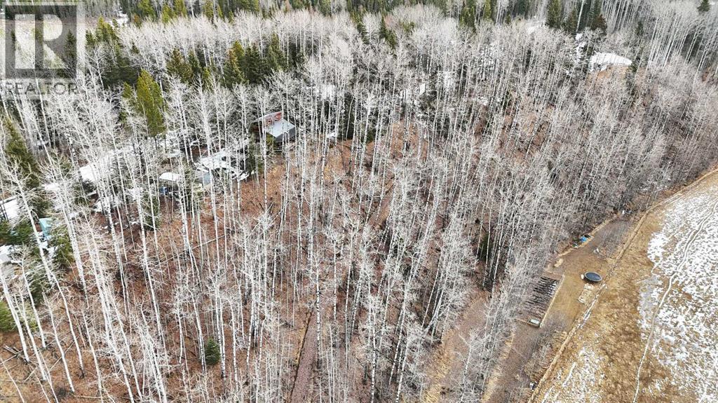 30 Mountainview Road, Rural Clearwater County, Alberta  T4T 2A4 - Photo 36 - A2302170