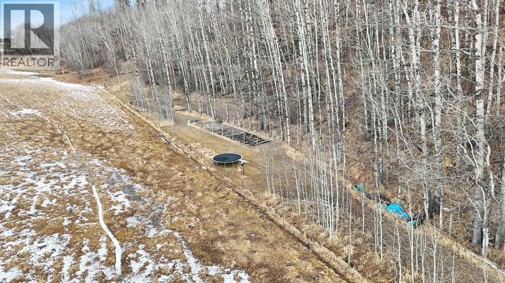 30 Mountainview Road, Rural Clearwater County, Alberta  T4T 2A4 - Photo 33 - A2302170