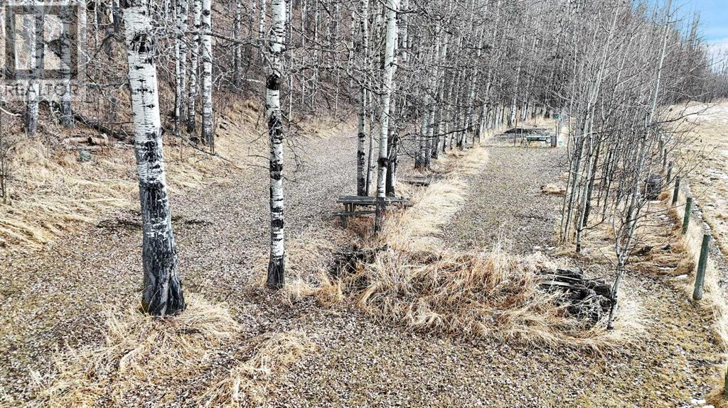 30 Mountainview Road, Rural Clearwater County, Alberta  T4T 2A4 - Photo 35 - A2302170