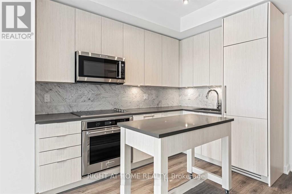 1213 - 38 Iannuzzi Street, Toronto, Ontario  M5V 0S2 - Photo 11 - C13010250