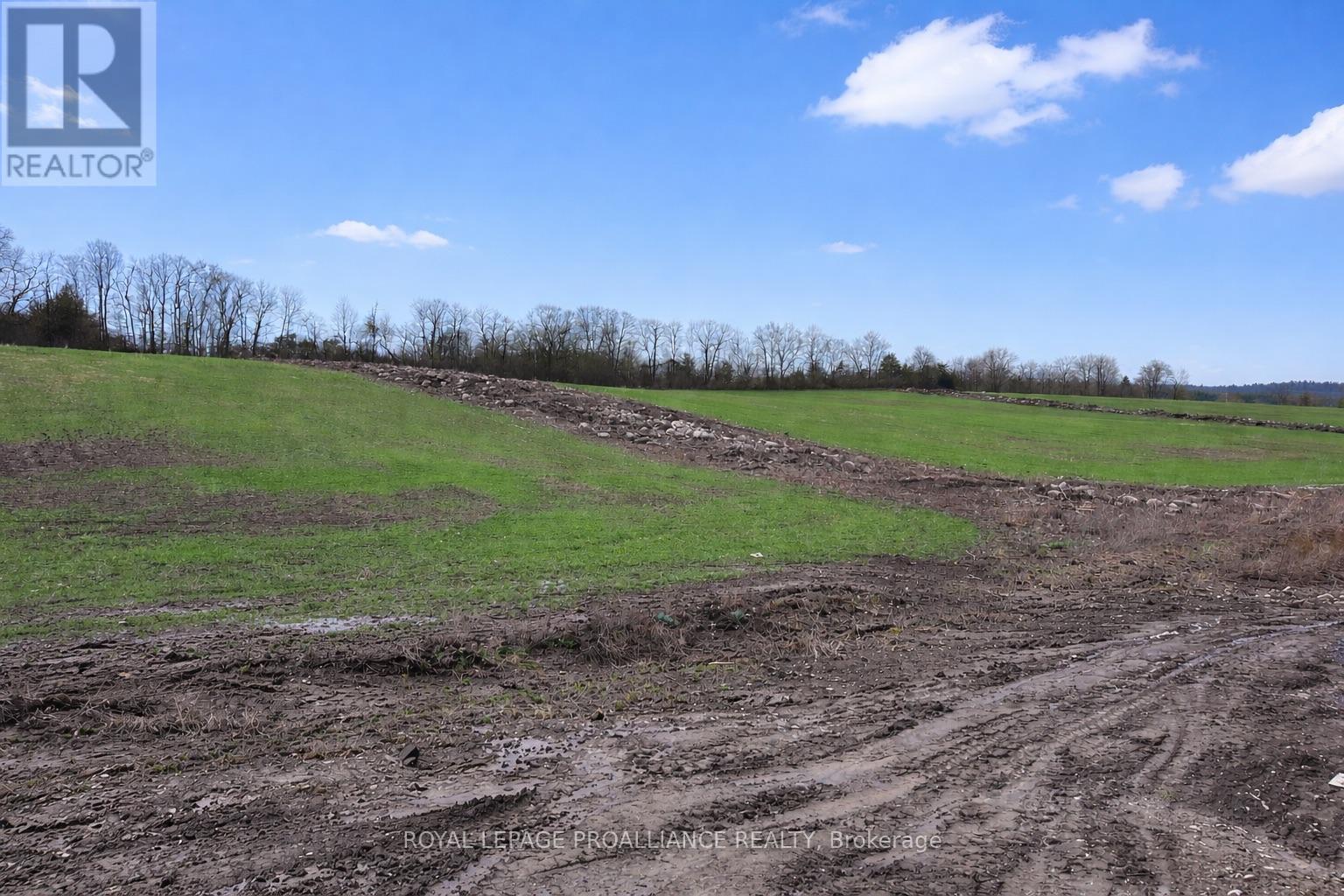 81 Meagan Lane, Quinte West, Ontario  K0K 2C0 - Photo 4 - X12964122