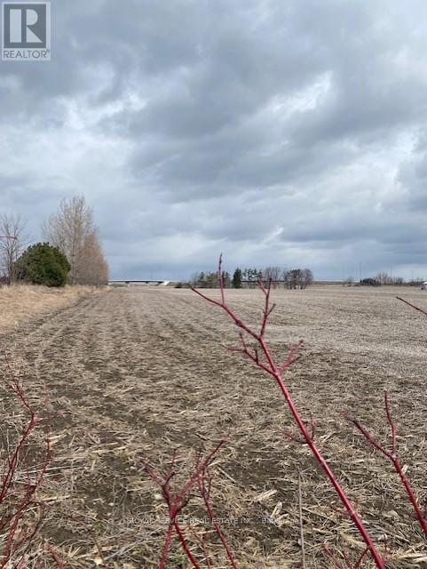 255 & 250 Crago Road, Clarington, Ontario  L1E 0L1 - Photo 3 - E13010298