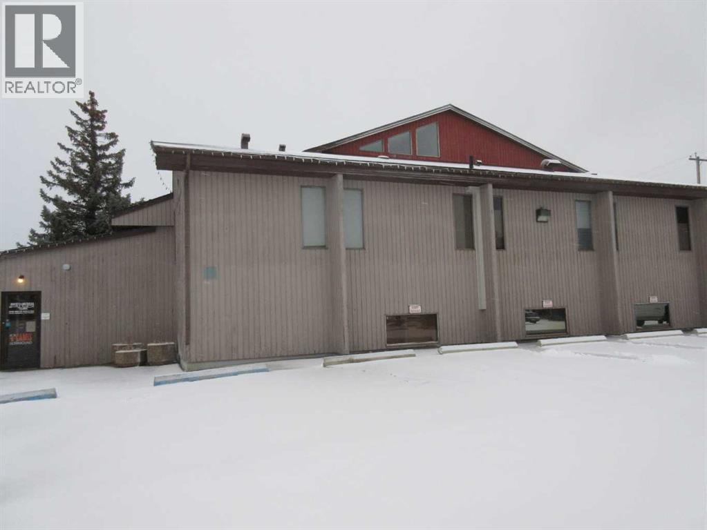 5127 49 Street, Rocky Mountain House, Alberta  T4T 1B8 - Photo 4 - A2299986