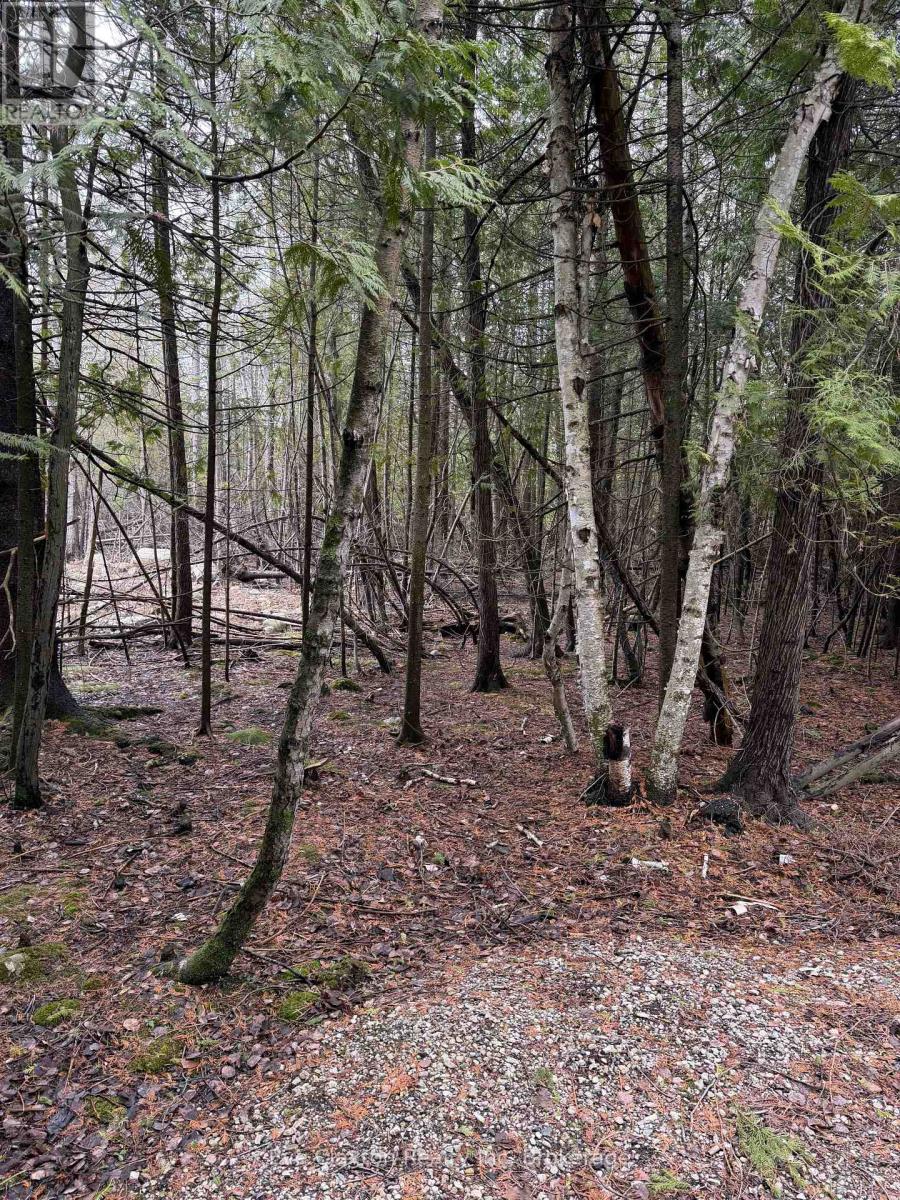 23 Park Lot Cameron Drive, Saugeen Shores, Ontario  N0H 2L0 - Photo 4 - X13010340