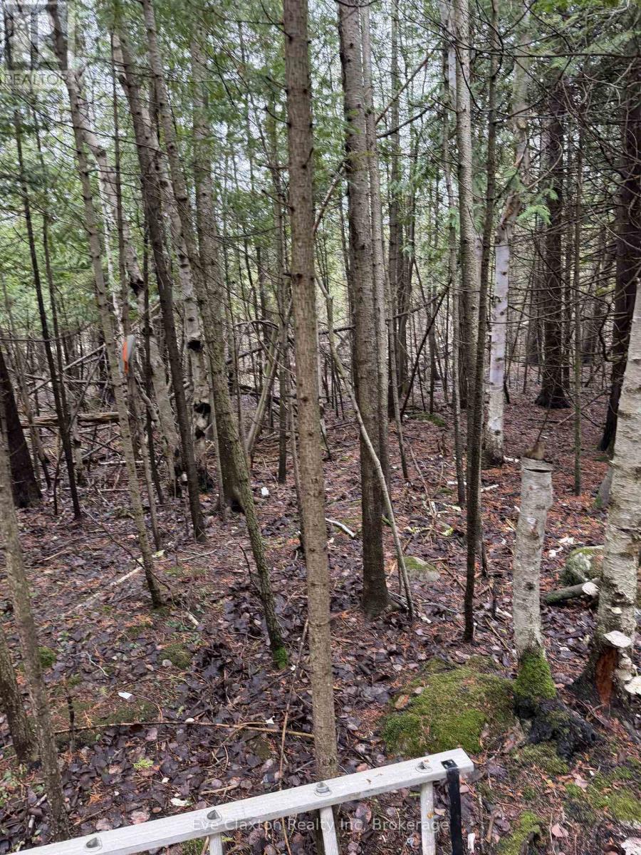 23 Park Lot Cameron Drive, Saugeen Shores, Ontario  N0H 2L0 - Photo 5 - X13010340