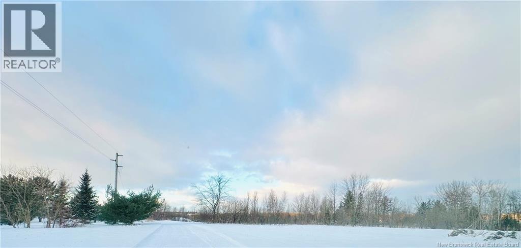 170 And 174 Houlton Street, Woodstock, New Brunswick  E7M 1Z1 - Photo 30 - NB090049