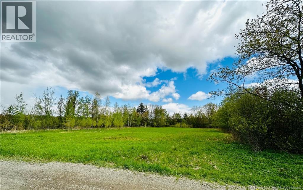 170 And 174 Houlton Street, Woodstock, New Brunswick  E7M 1Z1 - Photo 16 - NB090049