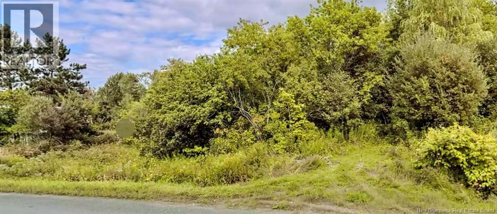 Lot Route 105, Lower Brighton, New Brunswick  E7P 3E7 - Photo 4 - NB096637