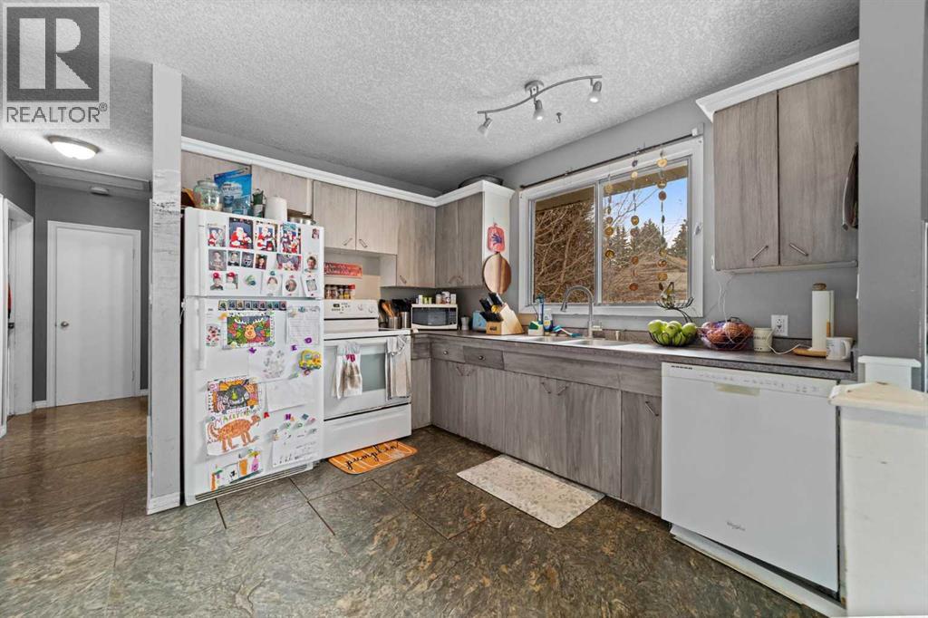 4925 49 Street, Killam, Alberta  T0B 2L0 - Photo 6 - A2301669