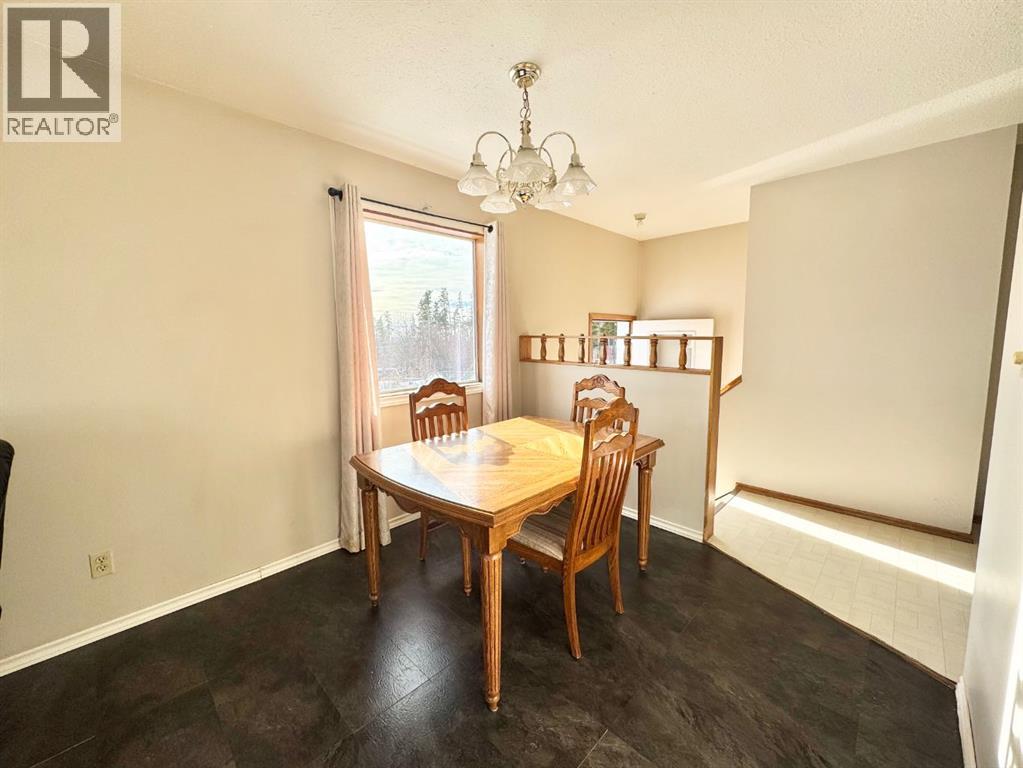 21 Tressa Street, Swan Hills, Alberta  T0G 2C0 - Photo 5 - A2286176