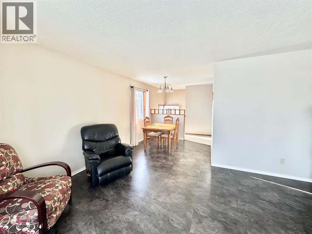 21 Tressa Street, Swan Hills, Alberta  T0G 2C0 - Photo 6 - A2286176