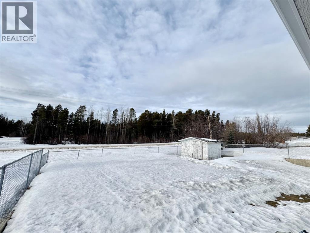 21 Tressa Street, Swan Hills, Alberta  T0G 2C0 - Photo 19 - A2286176