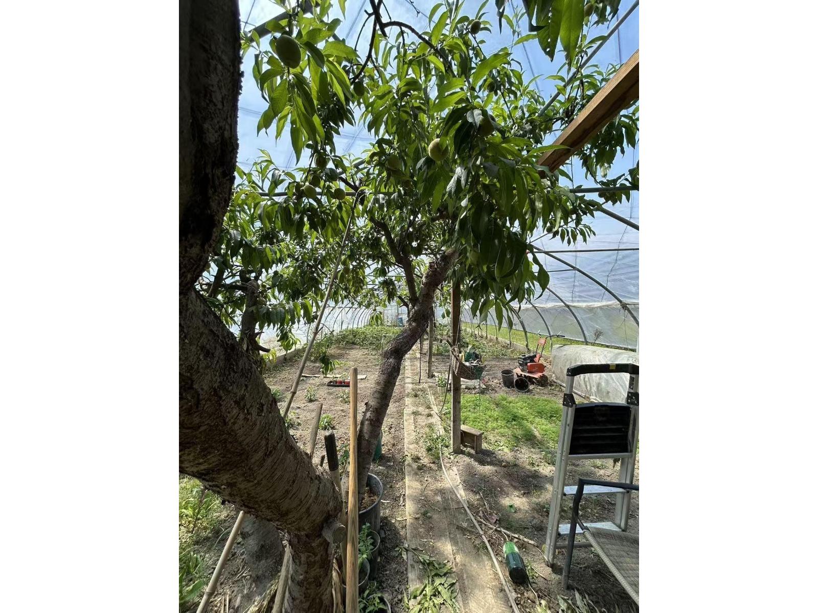 5007 Boundary Road, Abbotsford, British Columbia  V3G 2N4 - Photo 32 - R3110354