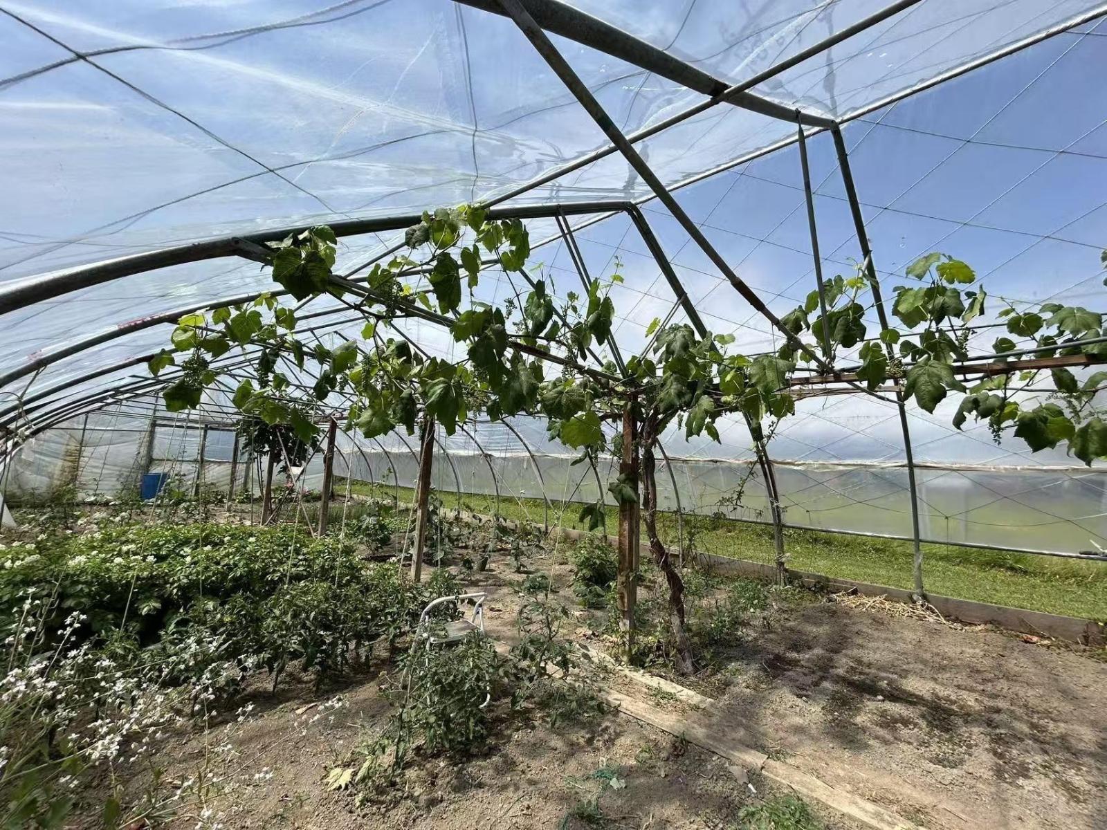 5007 Boundary Road, Abbotsford, British Columbia  V3G 2N4 - Photo 31 - R3110354