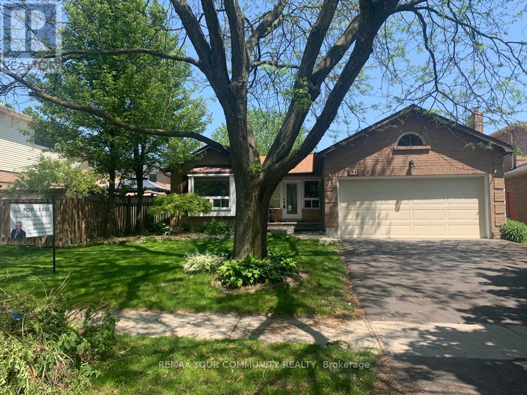 BASEMENT - 371 SELBY CRESCENT, Newmarket, Ontario