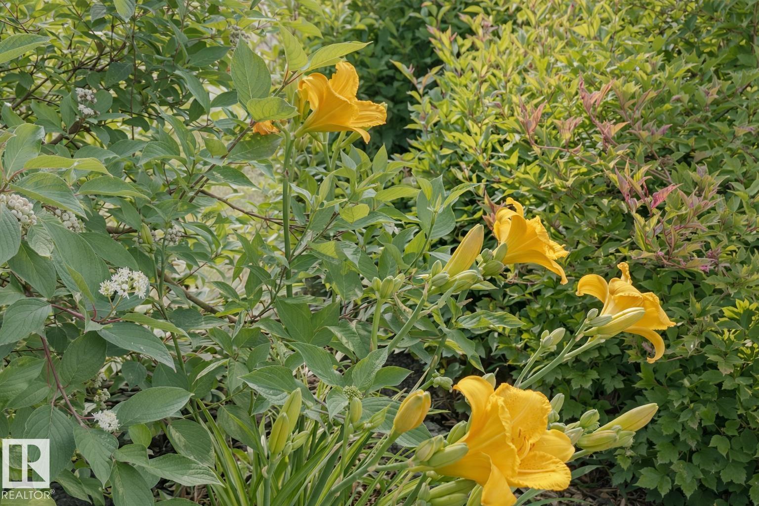 112 Rue Montalet, Beaumont, Alberta  T4X 0H8 - Photo 53 - E4482737