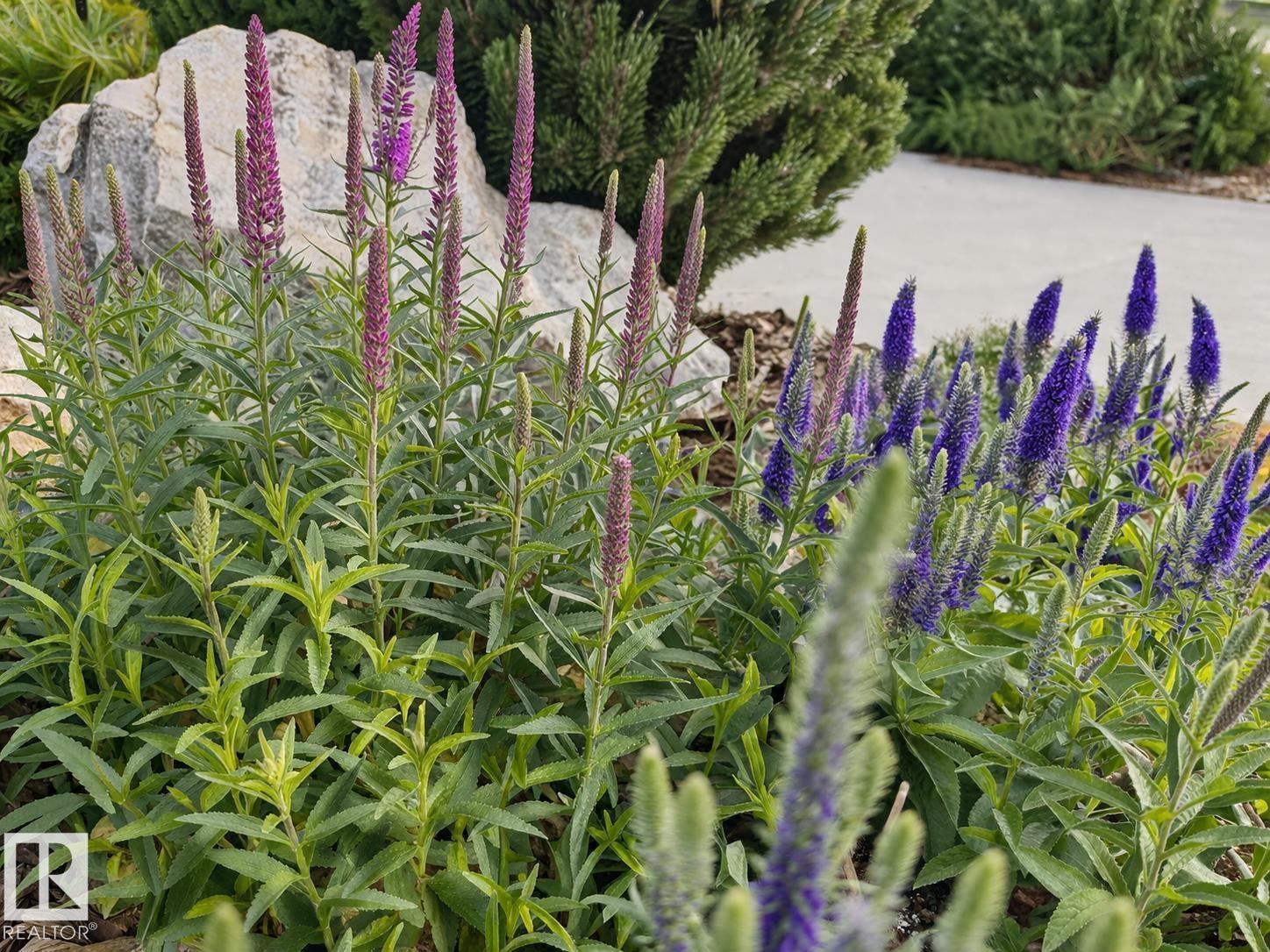 112 Rue Montalet, Beaumont, Alberta  T4X 0H8 - Photo 52 - E4482737