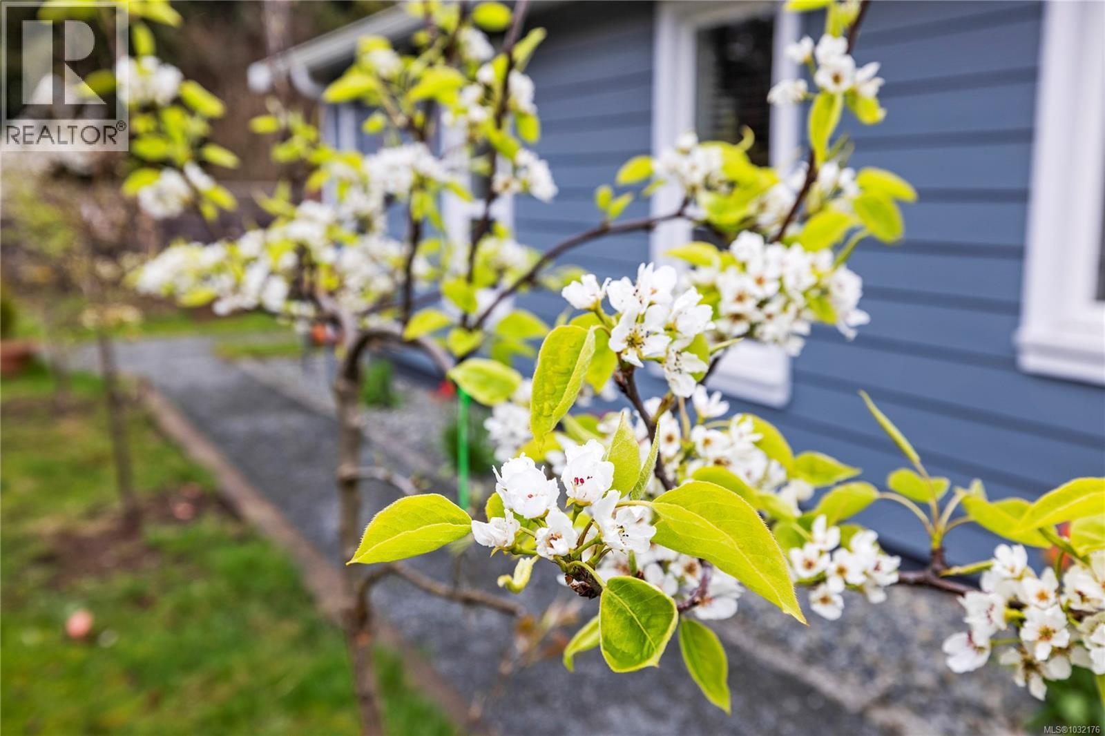 5143 Broughton Pl, Nanaimo, British Columbia  V9T 6L4 - Photo 39 - 1032176