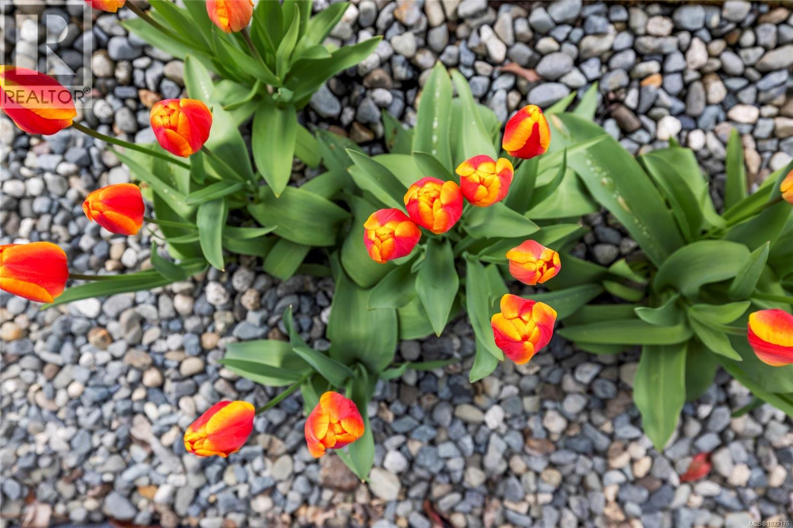 5143 Broughton Pl, Nanaimo, British Columbia  V9T 6L4 - Photo 40 - 1032176