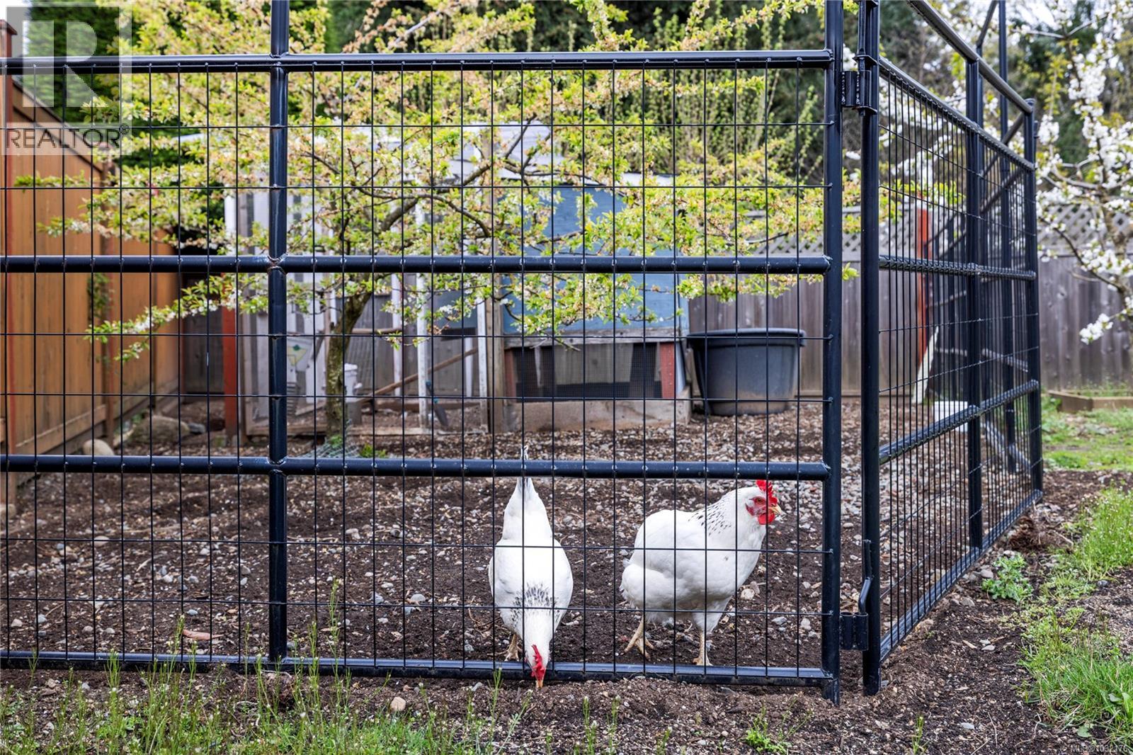 5143 Broughton Pl, Nanaimo, British Columbia  V9T 6L4 - Photo 41 - 1032176