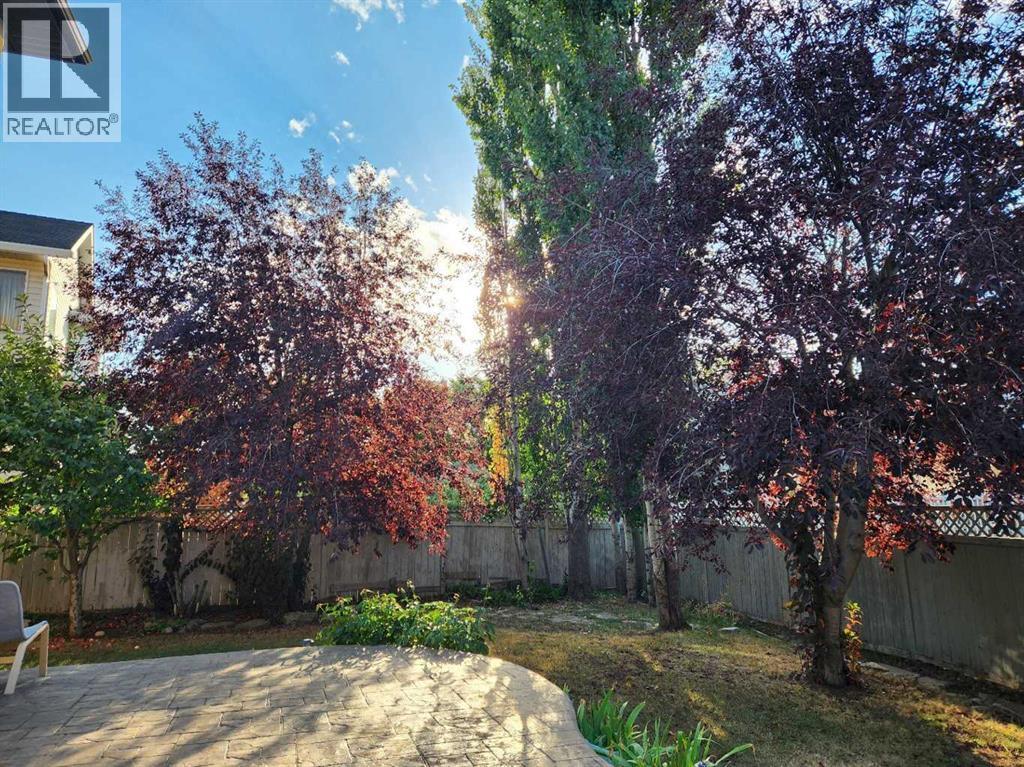 6 Douglas Woods Bay Se, Calgary, Alberta  T2Z 3A1 - Photo 36 - A2299998