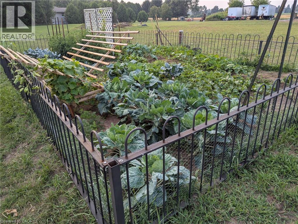 837 Fertilizer Road, Simcoe, Ontario  N3Y 4K6 - Photo 5 - 40816581