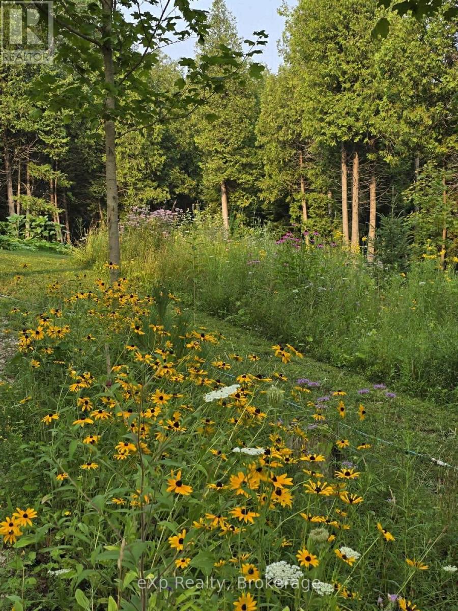 303709 South Line, West Grey, Ontario  N0C 1K0 - Photo 43 - X12985842