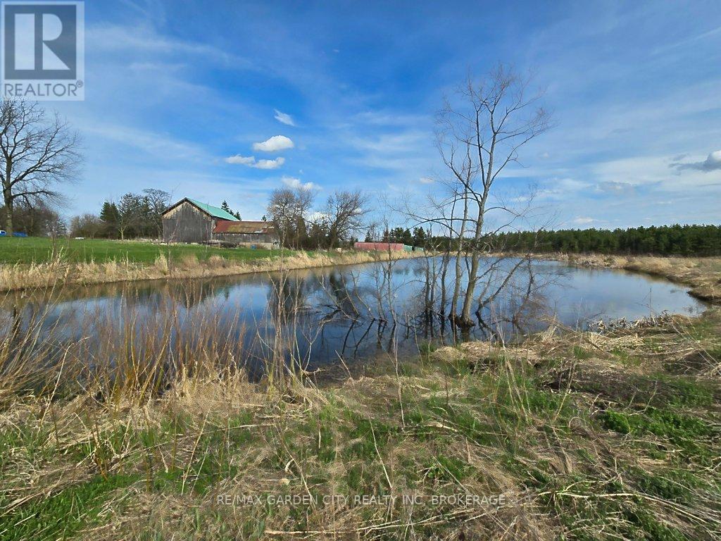 1030 Metler Road, Pelham, Ontario  L0S 1C0 - Photo 6 - X13010610