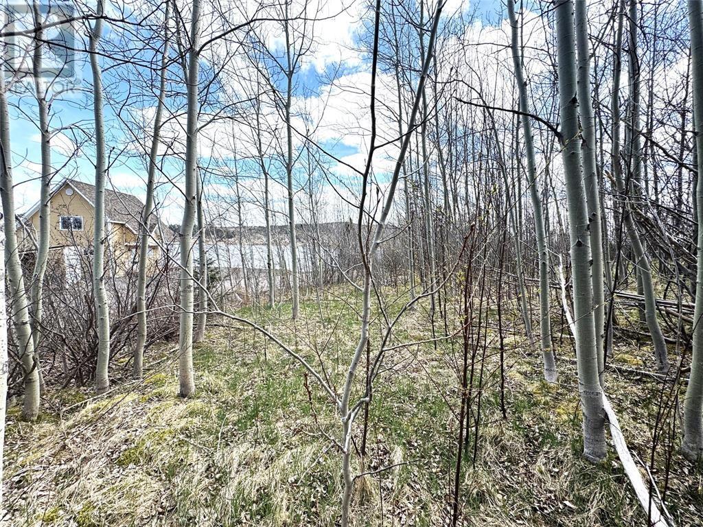 384 Main Street, Norris Arm North, Newfoundland & Labrador  A0G 3M0 - Photo 2 - 1296187
