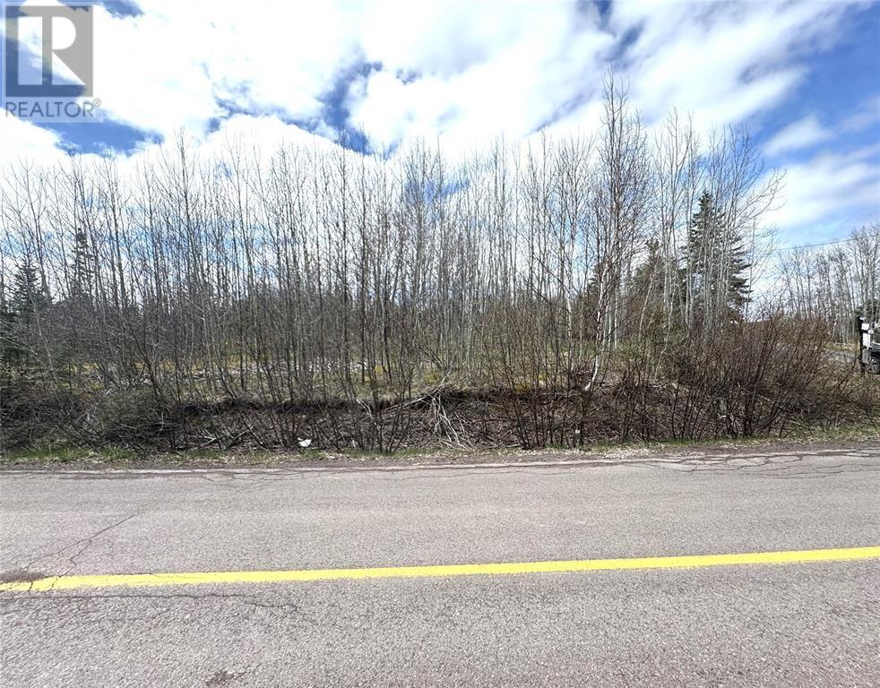 384 Main Street, Norris Arm North, Newfoundland & Labrador  A0G 3M0 - Photo 3 - 1296187