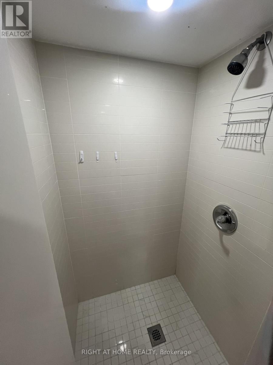 186 Schell Avenue, Toronto, Ontario  M6E 2T2 - Photo 14 - W13010674