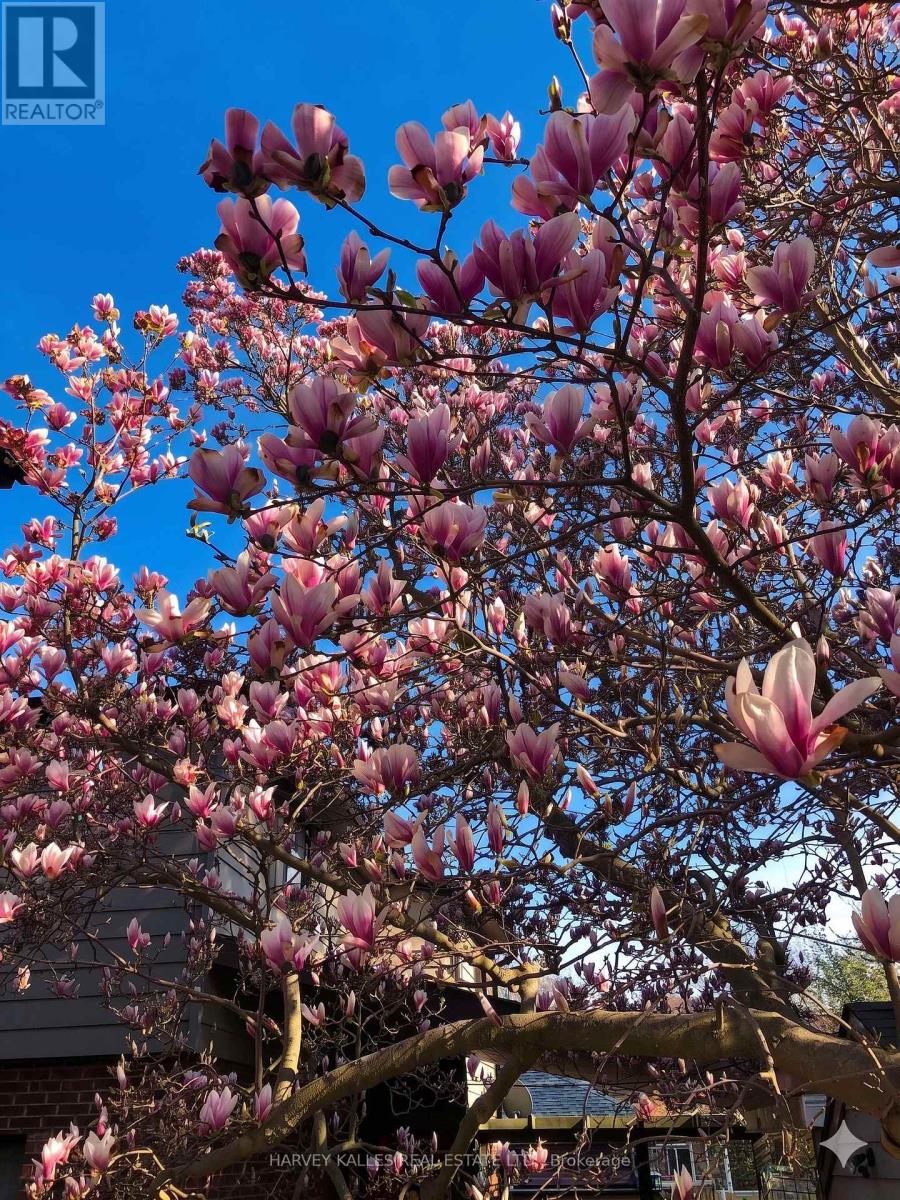 4 Twenty Third Street, Toronto, Ontario  M8V 3M7 - Photo 27 - W13010394