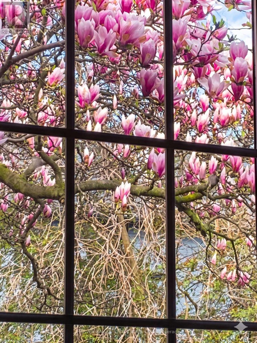 4 Twenty Third Street, Toronto, Ontario  M8V 3M7 - Photo 23 - W13010394