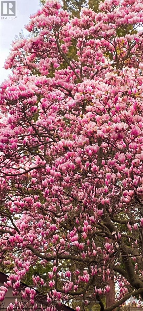 4 Twenty Third Street, Toronto, Ontario  M8V 3M7 - Photo 28 - W13010394