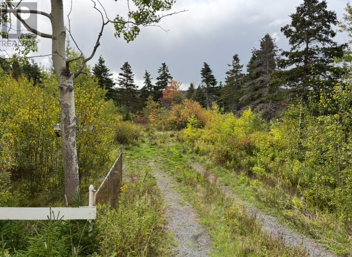 48-50 East Highway, Victoria, Newfoundland & Labrador